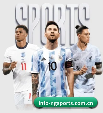 NG体育 APP